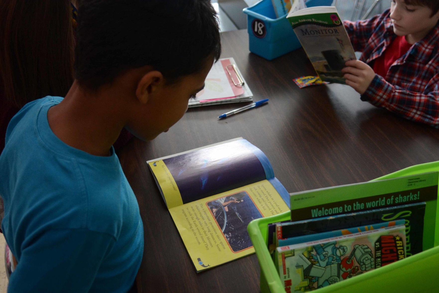 Literacy efforts in Baraboo schools